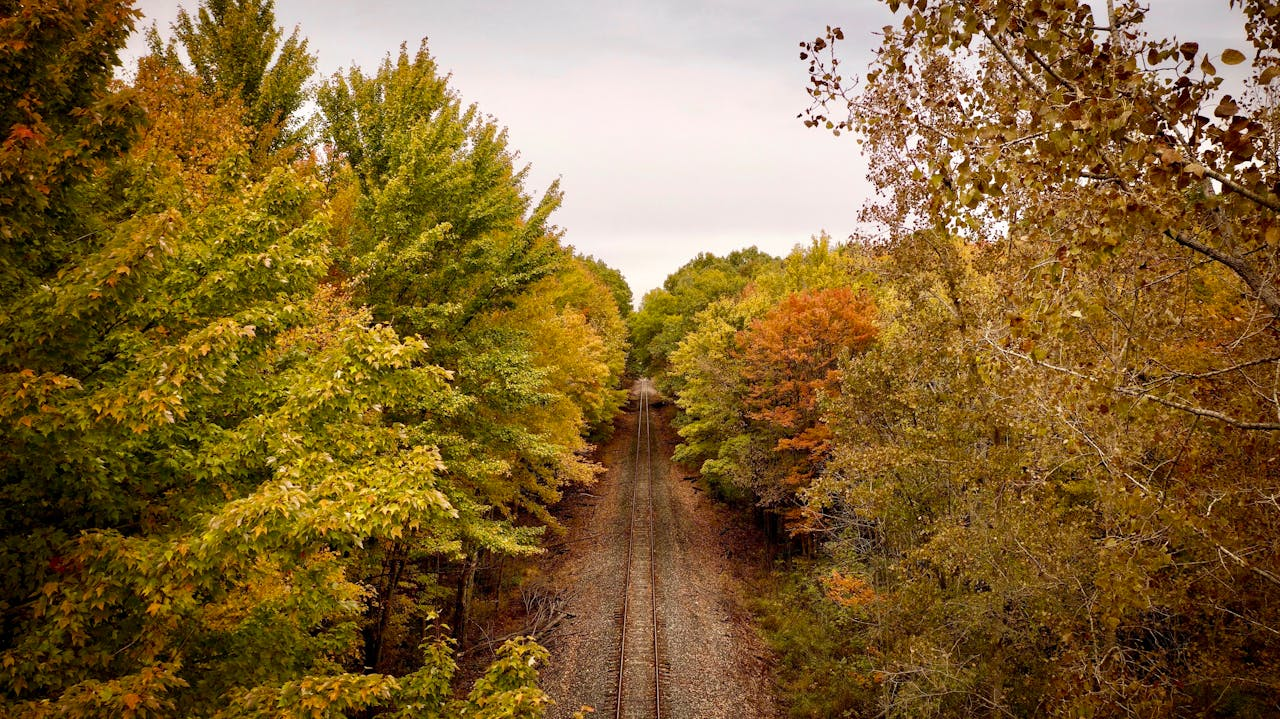 Ohio train tracks run through autumnal woods